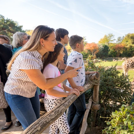 Zoo de Leipzig - Une petite escapade à Leipzig avec les enfants