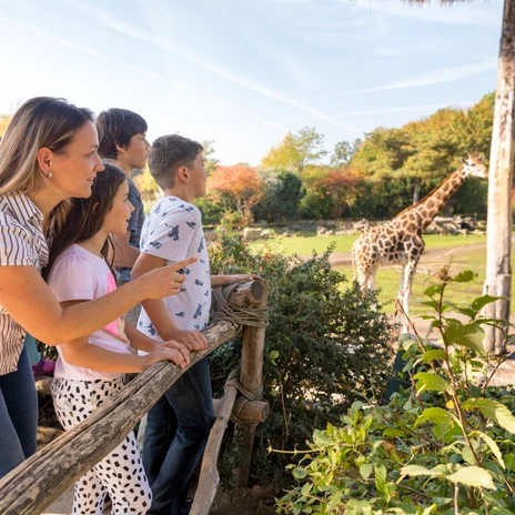 Zoo Leipzig - Kurzurlaub mit Kindern in Leipzig