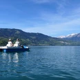 mountainsurf-pedalo-thunersee-niesen.jpg
