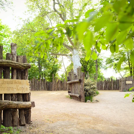 Kiwara-Kopje event area at the event venue Zoo Leipzig | Leipzig Convention Bureau Kiwara-Kopje event area at the event venue Zoo Leipzig - presented by Leipzig Convention Bureau