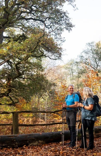 Rappeiche Urwald Sababurg