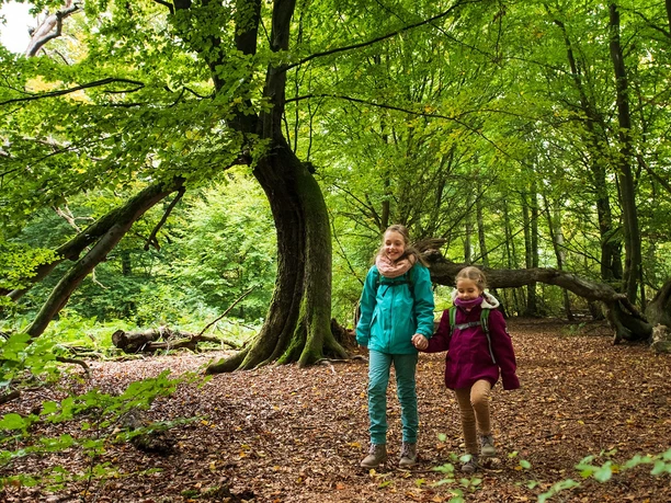 Kinder im Urwald Sababurg