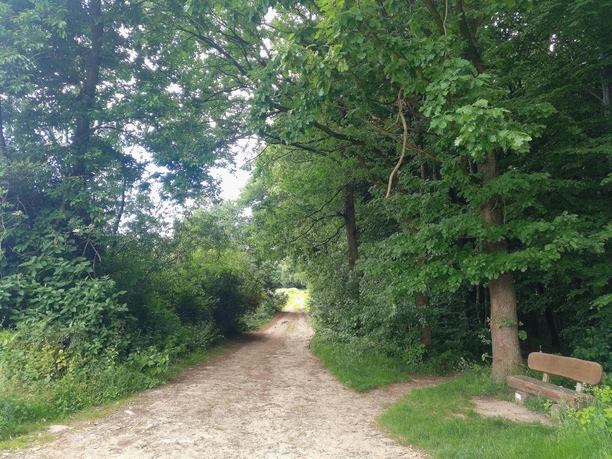 unterwegs am Karl-Bachler-Weg