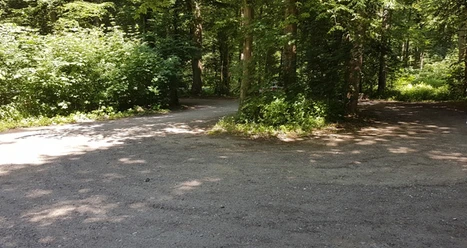 Wanderparkplatz Fredeburger Wald (B 207)