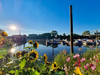 Sommerblumen im Hafen von Lauenburg