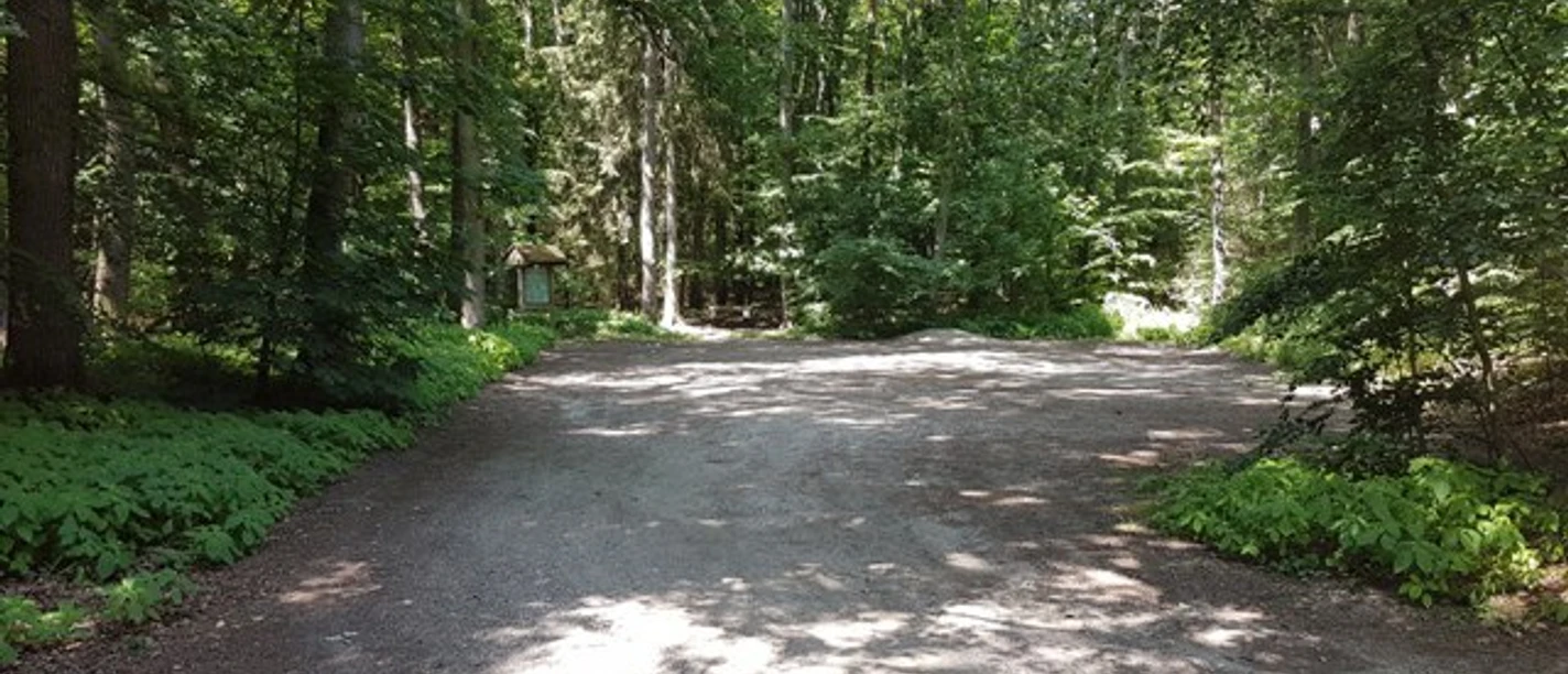 Parkplatz Frachtweg (L 218) Gravel parking area surrounded by dense forest with sunlight filtering through trees