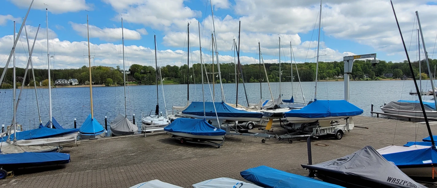 RSV_Silvana Dust_20230510_1980x1310.jpg