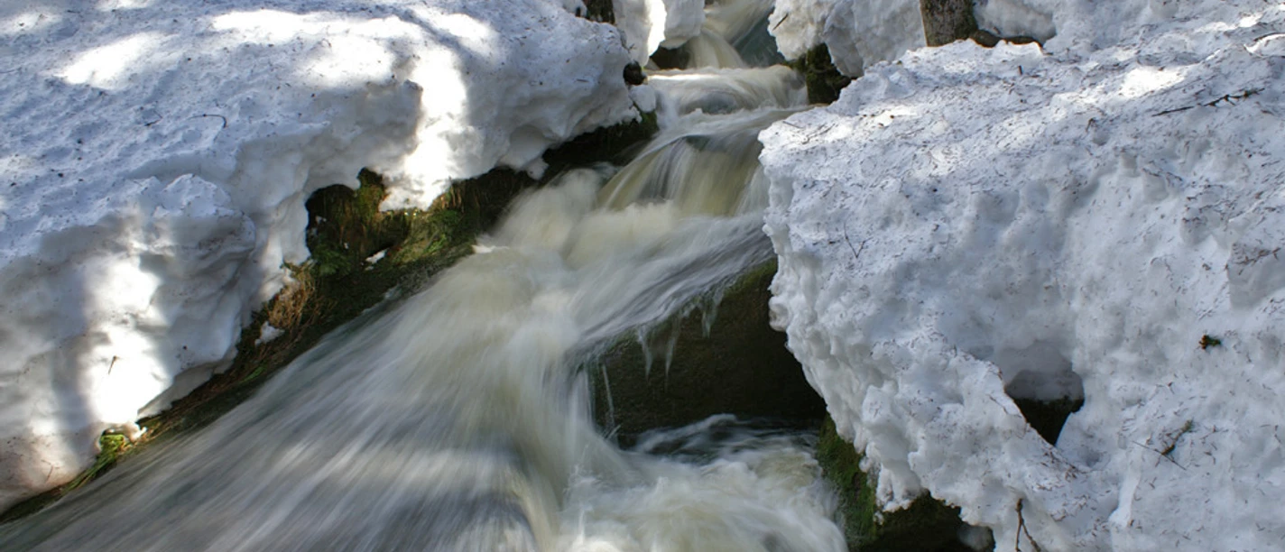 Winter Wasser Wald Winter Wasser Wald