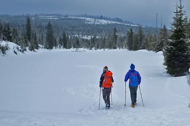 Winterwandern Reschbachklause