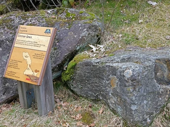 Gesteins-Freigelände