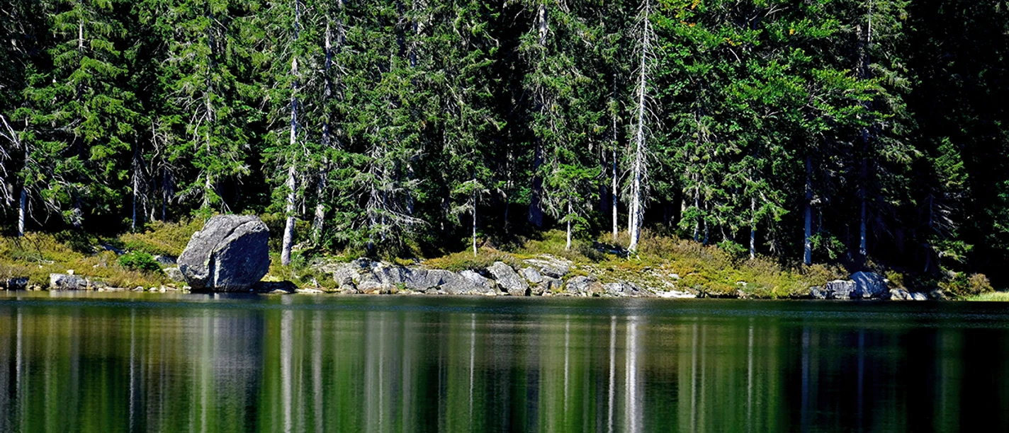 Spiegelung im Rachelsee