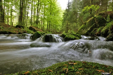Sagwasserbach