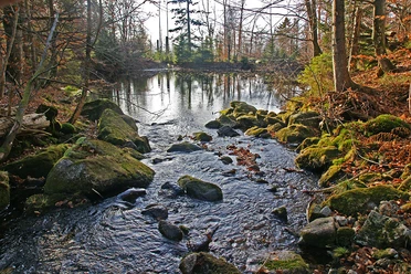 Sagwasserklause