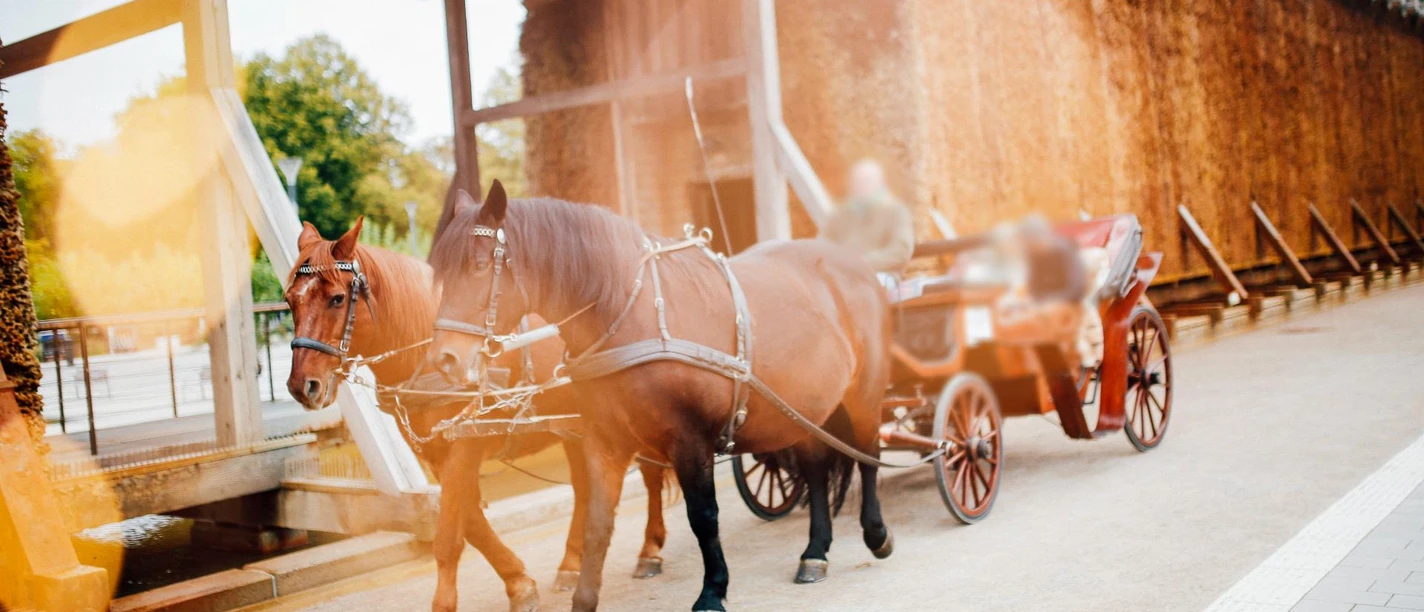 Kutschfahrt