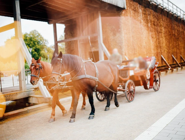 Kutschfahrt