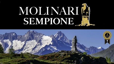 Molinari-Sempione 2.png