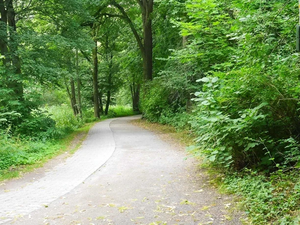 auf barrierearmen Wanderweg wandern