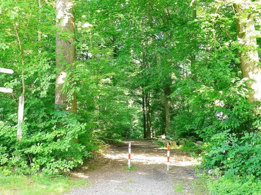 Wandern auf Wanderweg 2