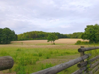 Landschaft am VitalWanderWeg Salzetal
