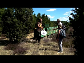 ErinnerDich Lüneburger Heide Film ErinnerDich Lüneburger Heide Film, Wacholderwald Schmarbeck