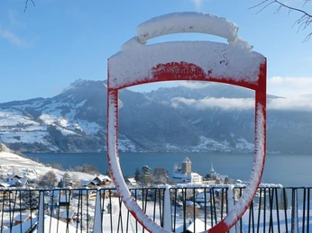 grand-tour-foto-spot-spiez-winter.jpg