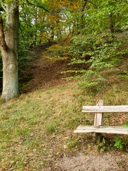 Pause am Hohen Elbufer Eine Bank am Wanderweg lädt zu einer Pause ein.