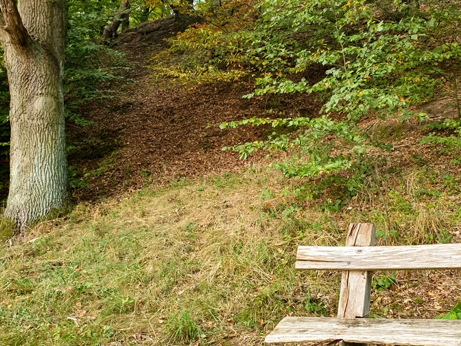 Pause am Hohen Elbufer