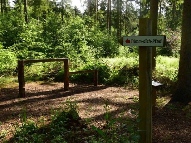 Trimm-dich-Pfad in Geesthacht Ein Schild im Wald. Auf dem Schild steht: Trimm-dich-Pfad. Im Hintergrund stehen Sport-Geräte aus Holz.