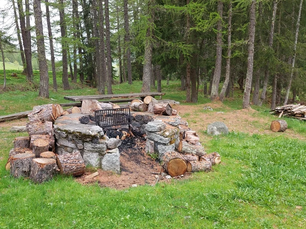 20230520_130917.jpg