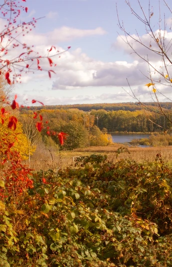 Zwischen Mooren, Sand und Wasser