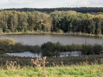 Moorweiher in Panten