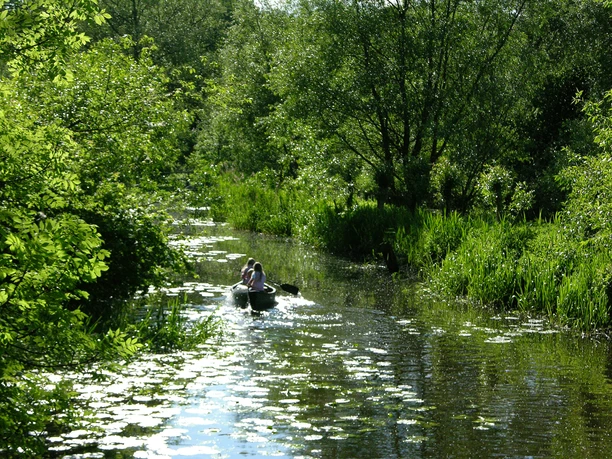 Paddeln auf der Steinau Zwei Personen paddeln in einem Kanu auf der Steinau. Die umgebende Landschaft ist grün.