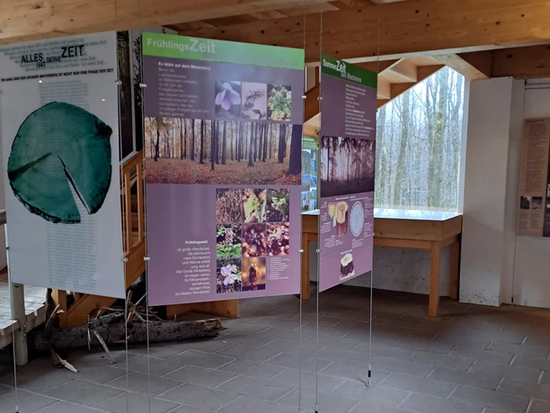 Tentoonstelling met hangende panelen over de seizoenen in het bos, met teksten en foto's van bomen en planten, in een ruimte met een houten plafond en grote ramen.