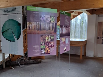 Ausstellung "Jahreszeiten am Winterberg" Ausstellung mit hängenden Tafeln über Jahreszeiten im Wald, mit Texten und Bildern von Bäumen und Pflanzen, in einem Raum mit Holzdecke und großen Fenstern.