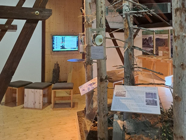 Tentoonstellingsruimte met houten meubilair, informatieborden en boomstammen; een scherm toont informatie. De sfeer is educatief en dicht bij de natuur.