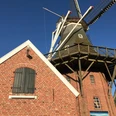 Mühle Rysum Mühle, blauer Himmel, Gallerieholländer