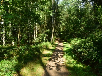 Wanderweg am Pipersee
