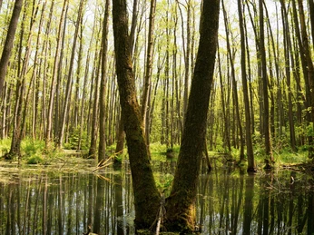 230522_Söhlbruch_CCBYSA_Dominik_Marwede_comp-24.jpg Söhlbruch