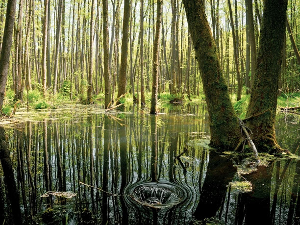 230522_Söhlbruch_CCBYSA_Dominik_Marwede_comp-16.jpg Söhlbruch