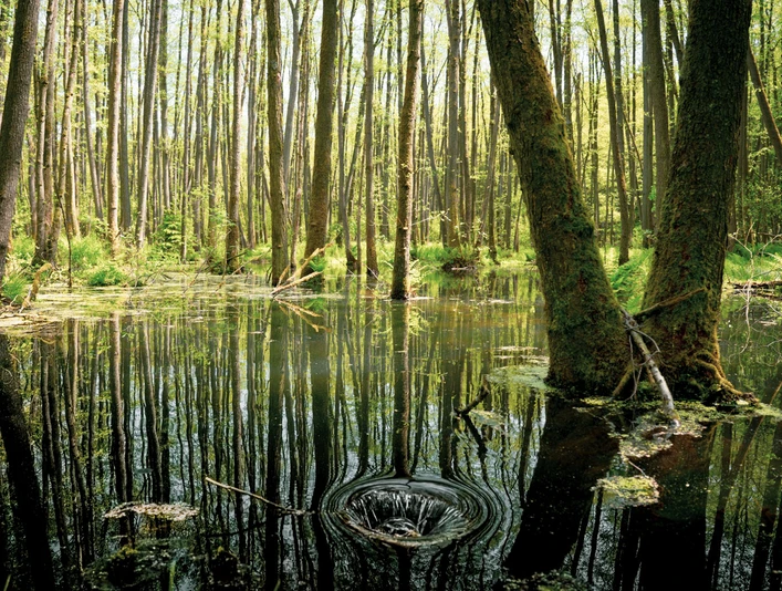 230522_Söhlbruch_CCBYSA_Dominik_Marwede_comp-16.jpg Söhlbruch