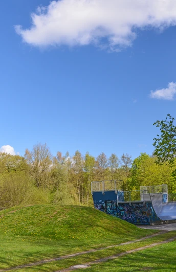 Skaterbahn in grüner Parksze, umgeben von Bäumen, mit einer Halfpipe und blauem Himmel im Hintergrund.