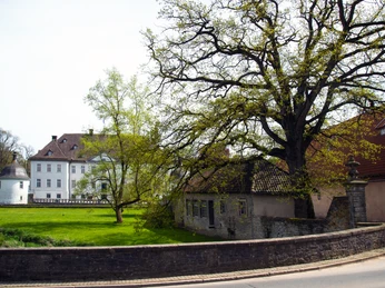 Ein historisches Schloss mit weißen Fassaden neben einem alten Baum und einer umgebenden Steinmauer.