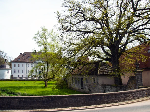 Ein historisches Schloss mit weißen Fassaden neben einem alten Baum und einer umgebenden Steinmauer.