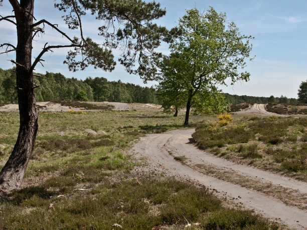Wahner Heide