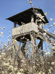 Aussichtsturm Mechower See Aussichtsturm