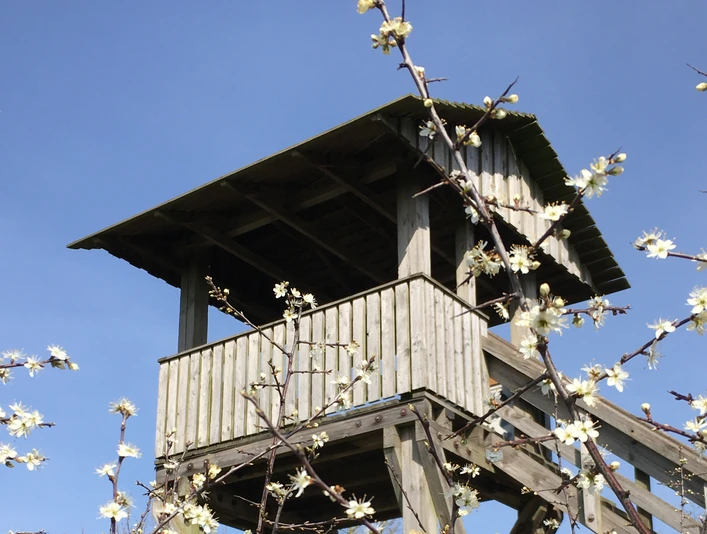 Aussichtsturm Mechower See Aussichtsturm