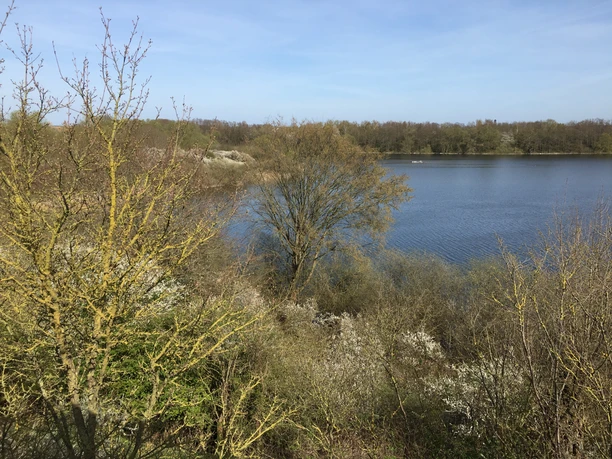 Ausblick Mechower See