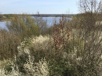 Aussichtsturm Mechower See - Treppen