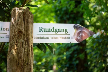 mueden_oertze_wildpark_tl_20190523 (16 von 63)web.jpg