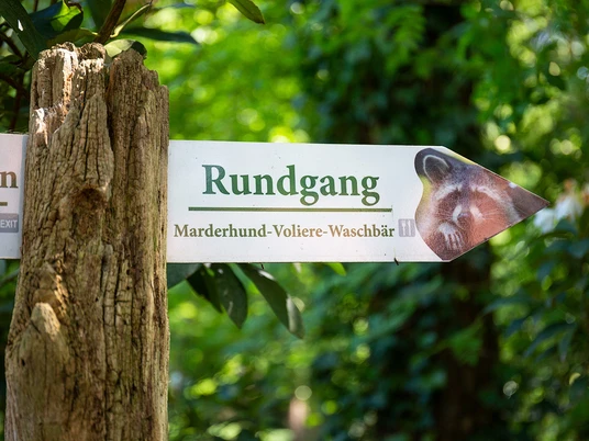 mueden_oertze_wildpark_tl_20190523 (16 von 63)web.jpg